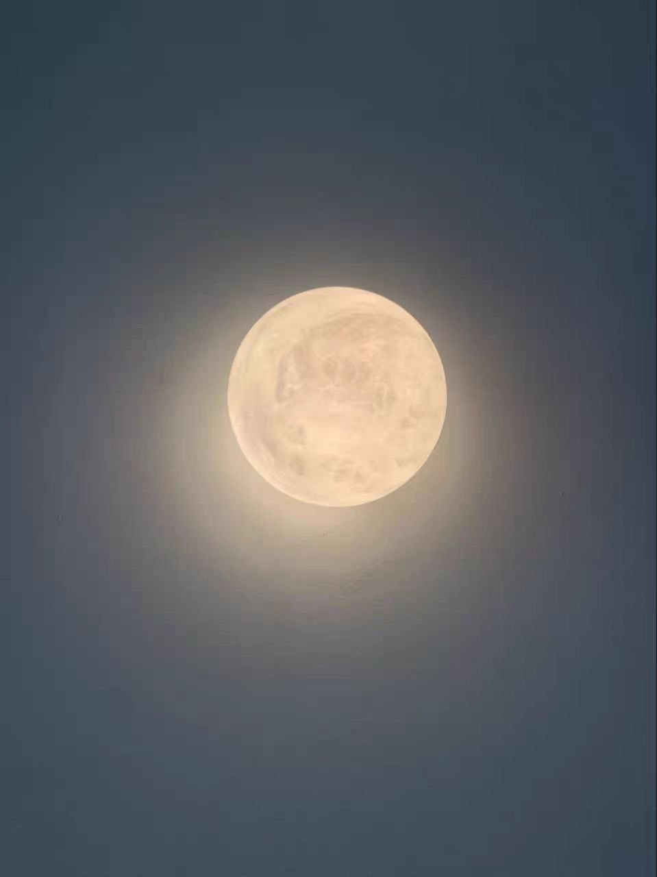 Настенный светильник (Бра) ORBELIS by Romatti